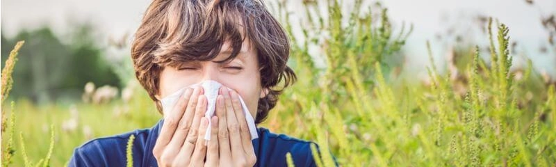Seasonal Aallergies Symptoms Come With Rising Pollen Counts Each Year