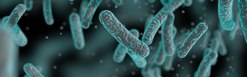 What are the Most Common Bacterial Infections?