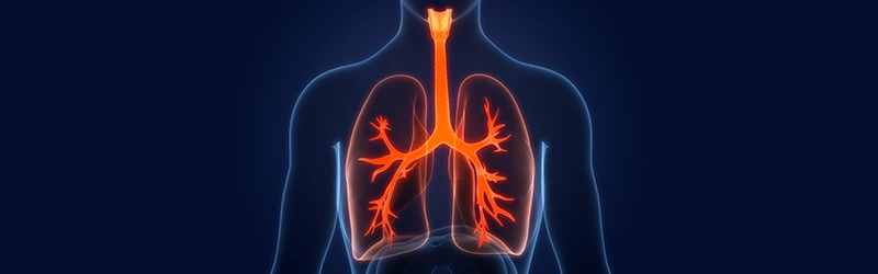 Trelegy Inhaler – COPD Stopper 